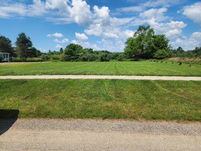 1001 Pheasant Run - Photo 1