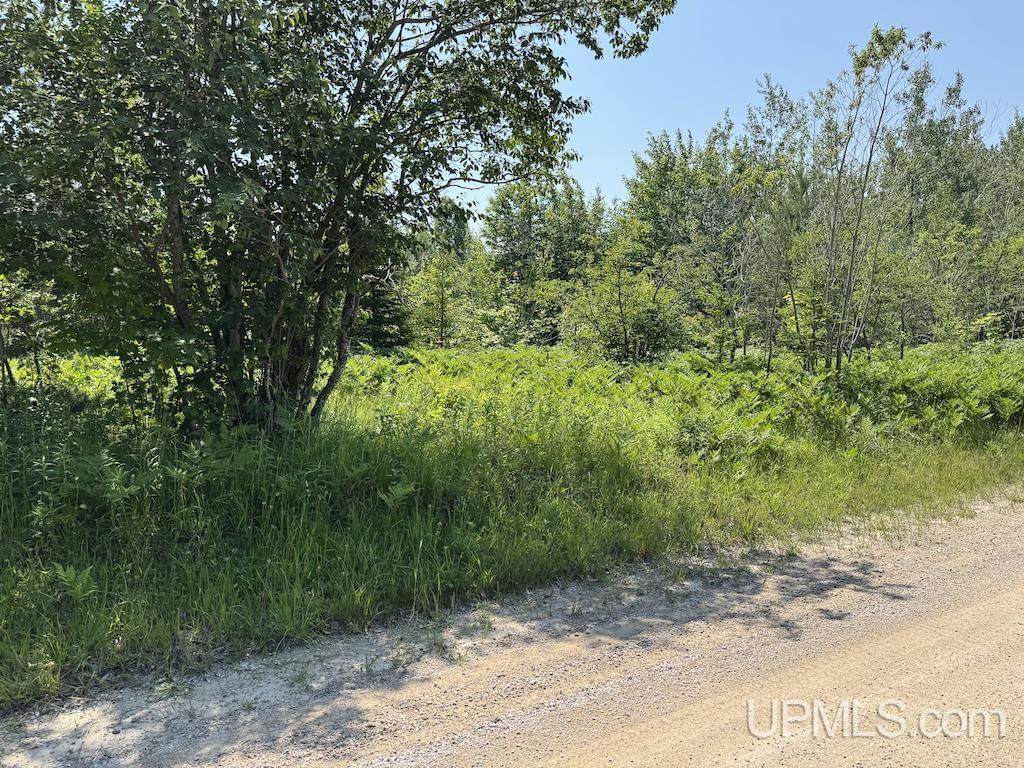 TBD 10 Acres Webb - Photo 1
