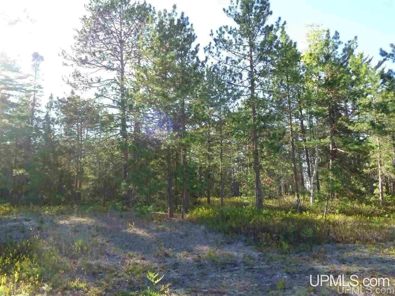 51734 Rice Lake - Photo 1