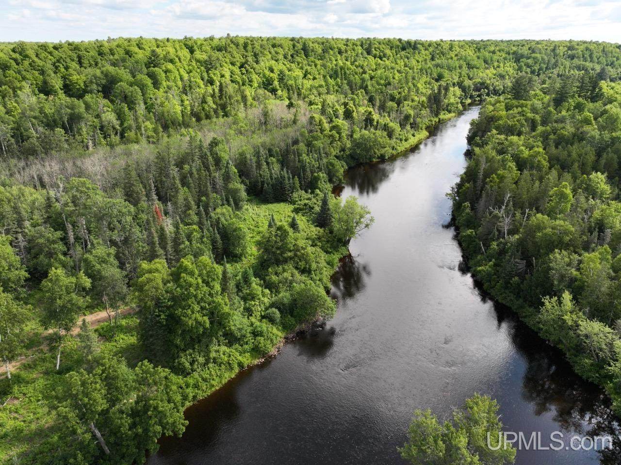 21 Acres Off Bates Amasa - Photo 1