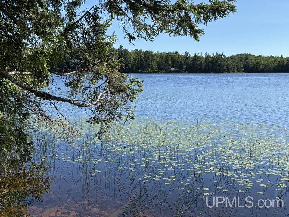 8713 Boot Lake - Photo 1