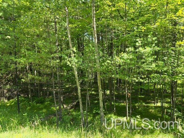 TBD Quinnesec Lake Antoine - Photo 1