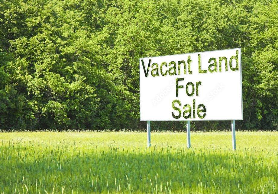 0 Ponderosa - Photo 1