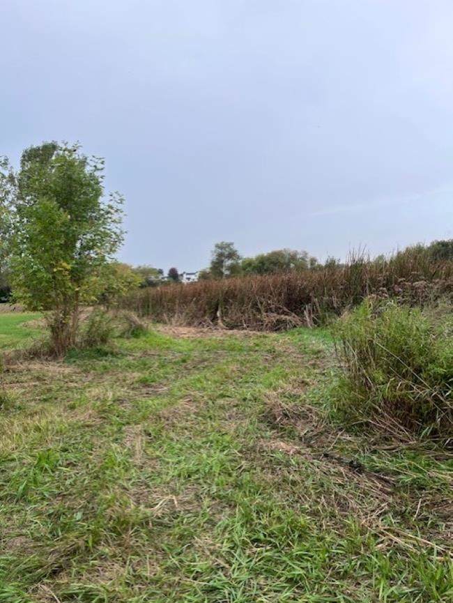 1051 Cummings - Photo 1