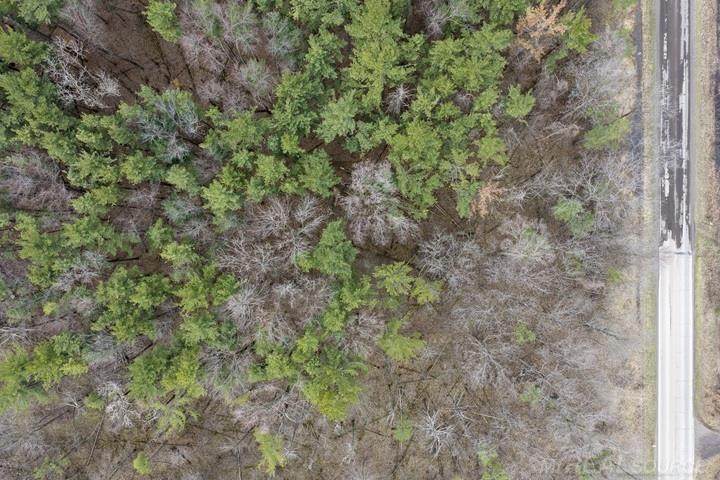 00 Southern - Photo 1