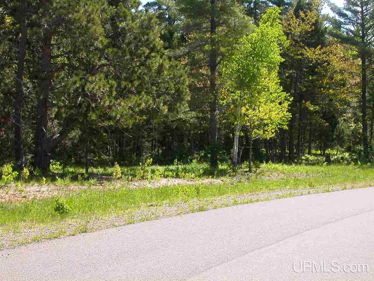 Lot 2 Eliza Creek - Photo 1