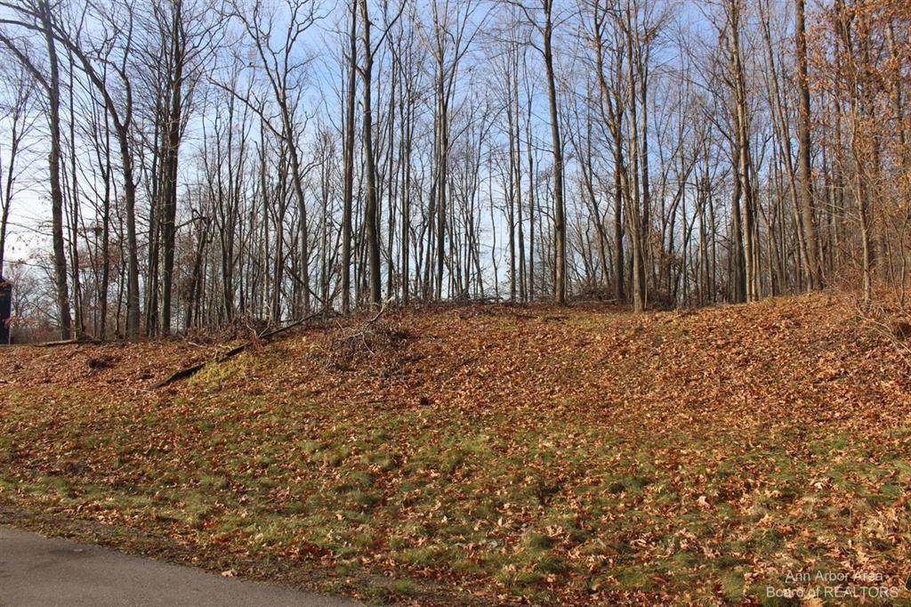 0 Lindsey Unit 13 - Photo 1