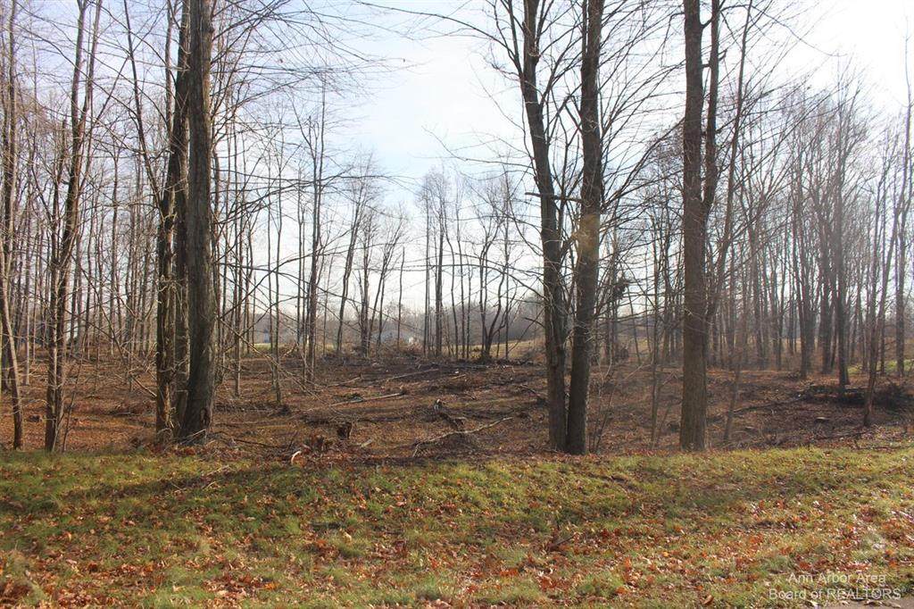 0 Lindsey Unit 14 - Photo 1