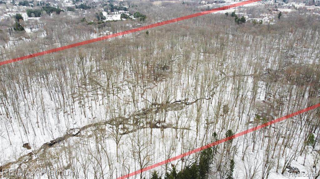 V/L Dunham Road (31.12 Acres) - Photo 1