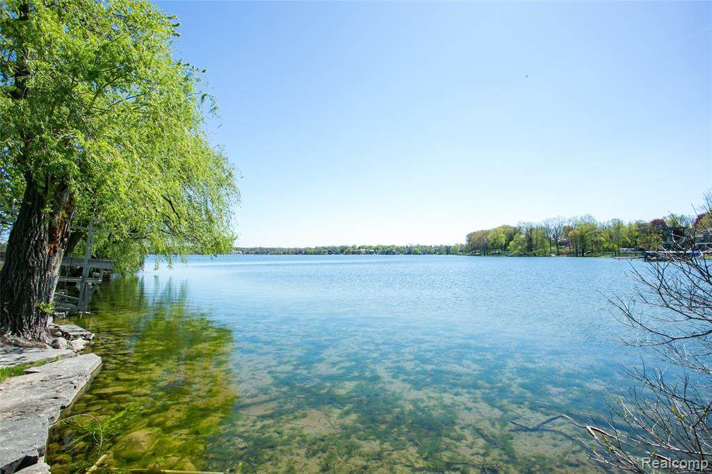 4711 Cove - Photo 1
