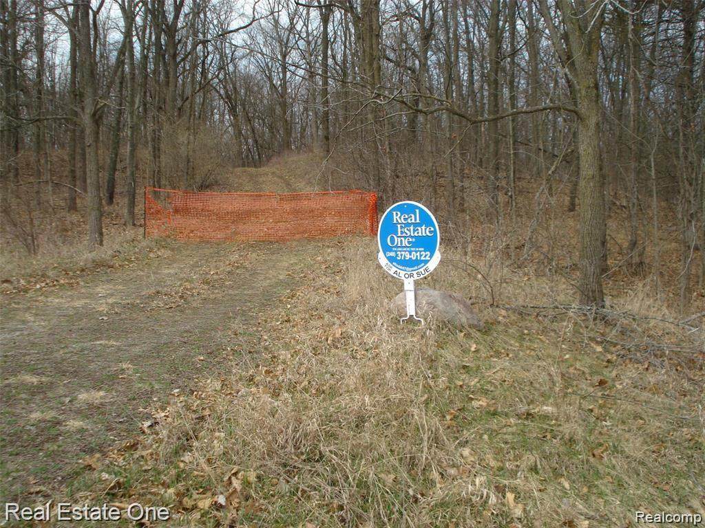 10409 Timberhill - Photo 1