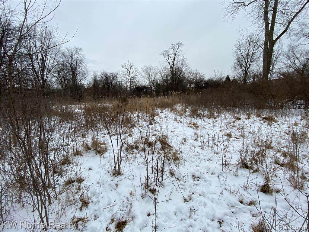 19600 Forest Drive - Photo 1