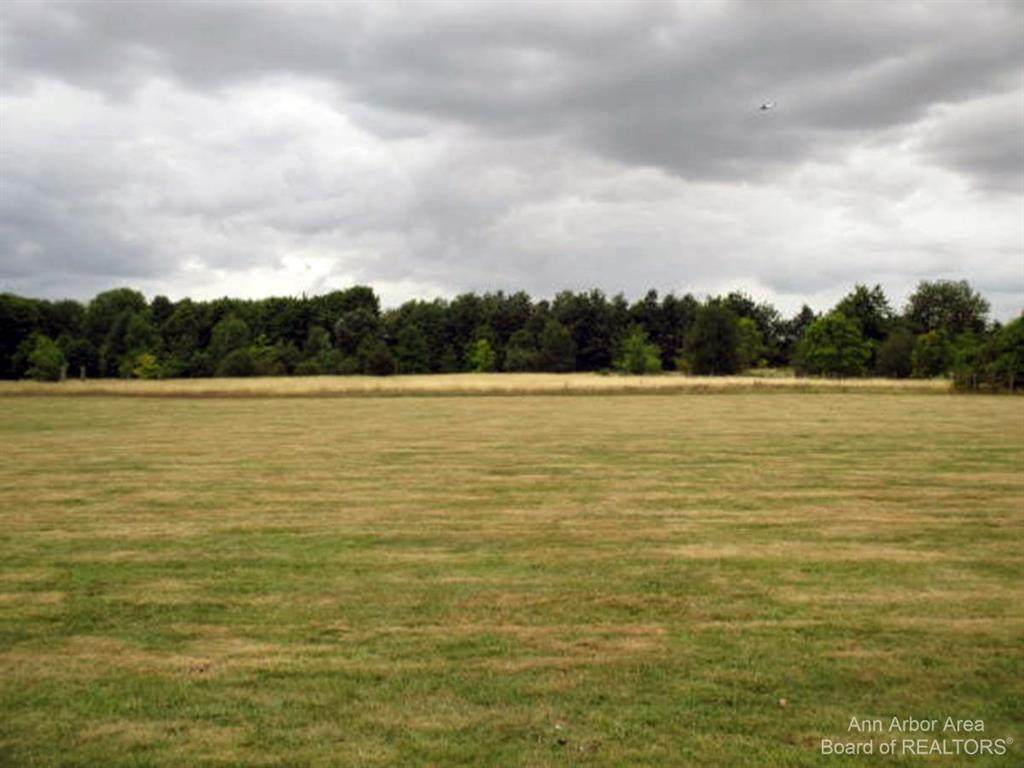 300 Willis - Photo 1