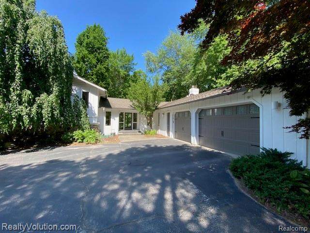 6080 Blue Beech - Photo 1
