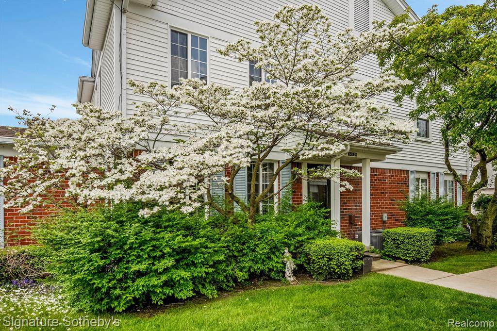 34740 Lake - Photo 1