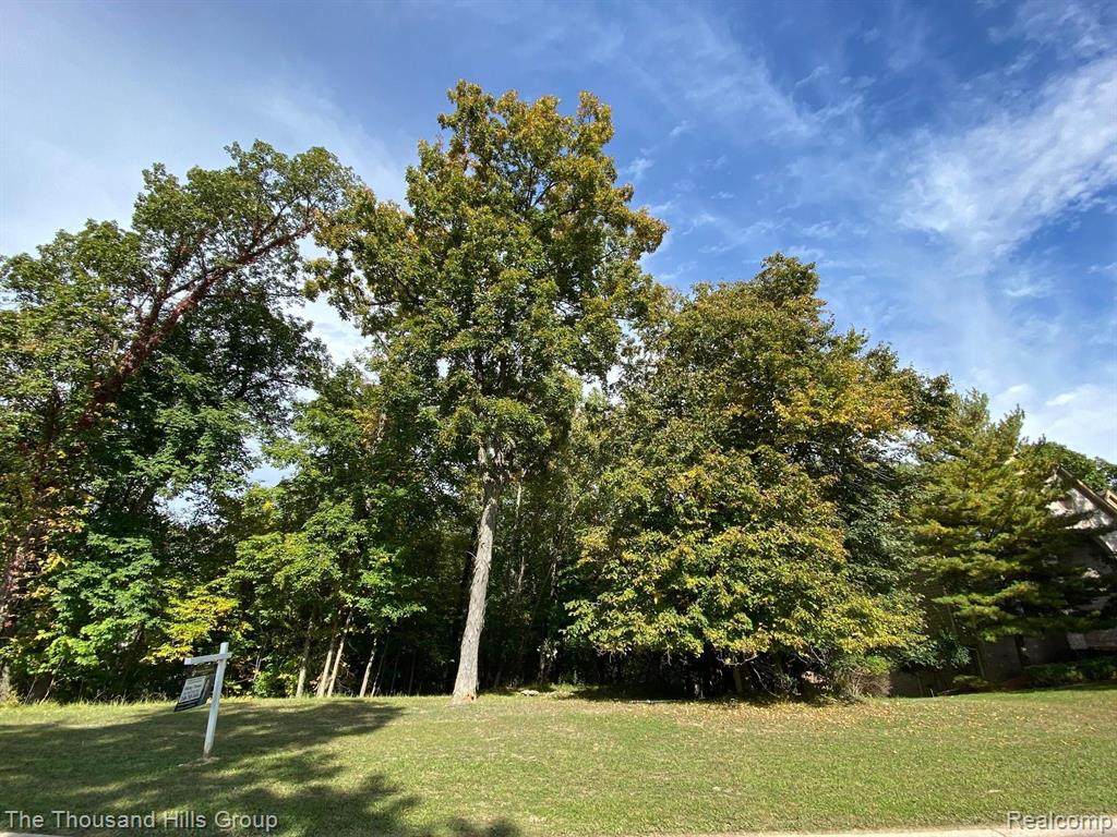 6069 Oak Trail - Photo 1