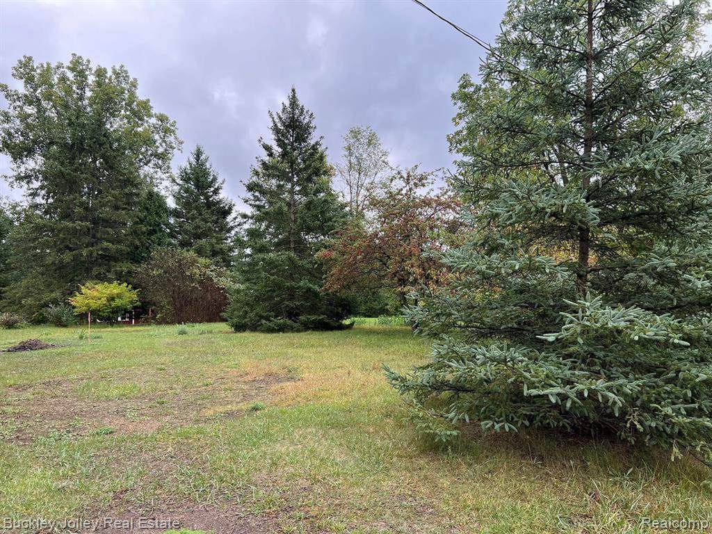 0000 Coon Lake - Photo 1