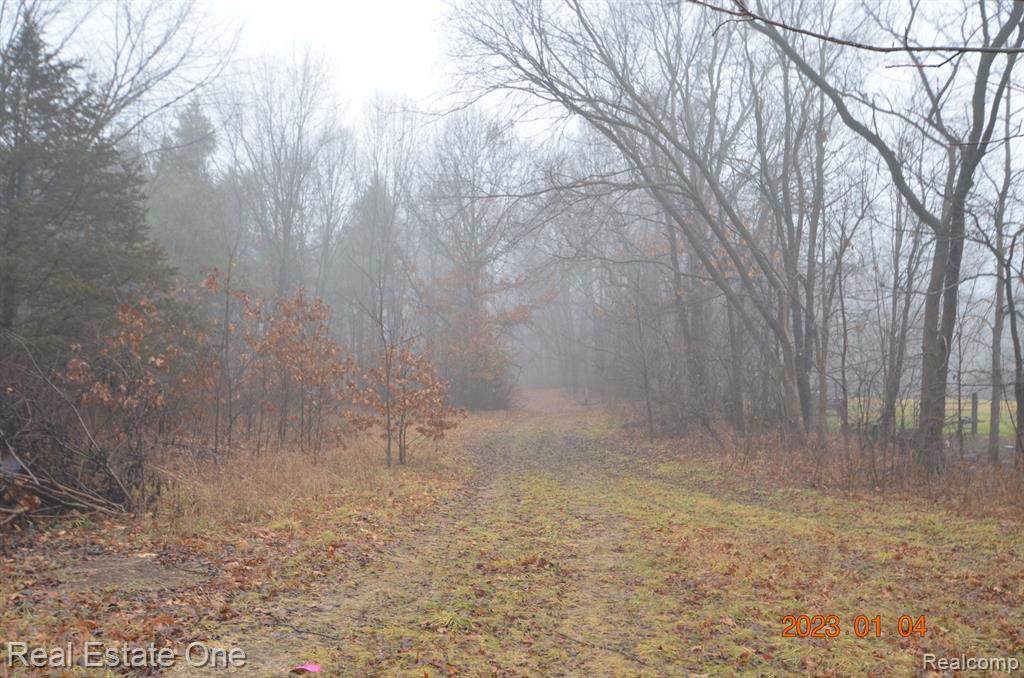 Vacant "B" Parc Maybee Rd - Photo 1