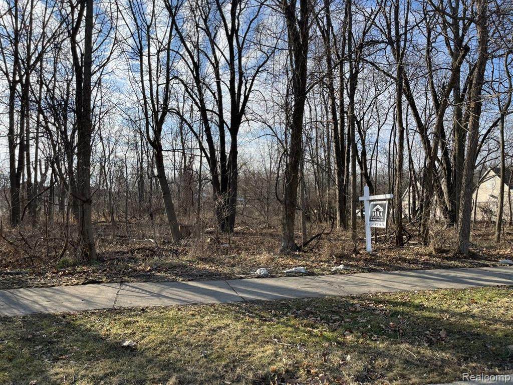 0000 Macomb - Photo 1
