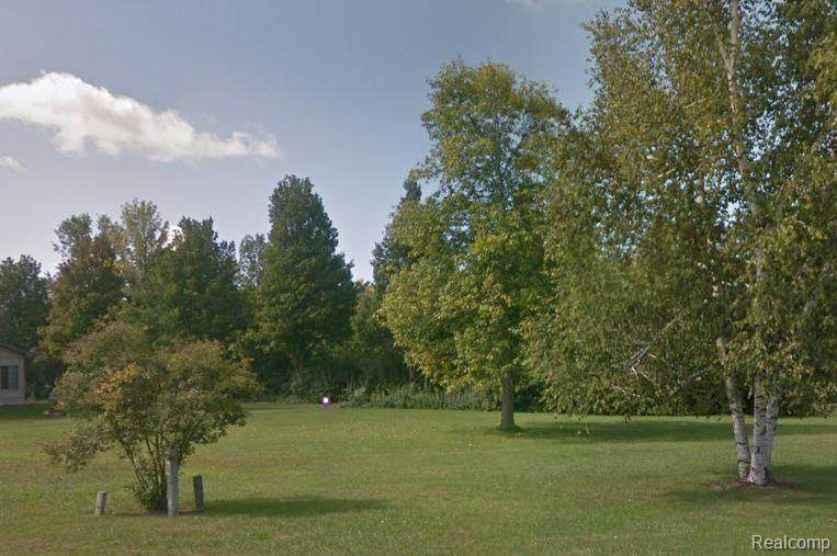 8800 Hornbeam - Photo 1