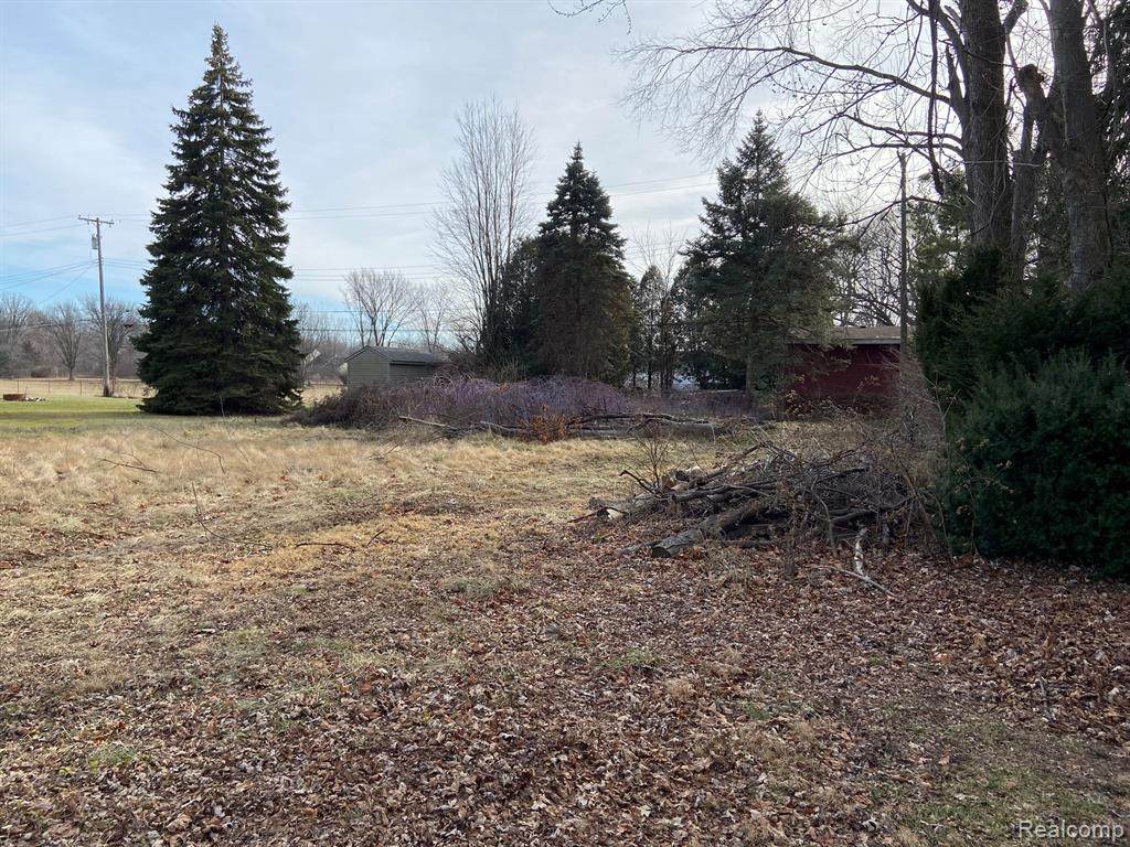 18452 Doty Lane - Photo 1