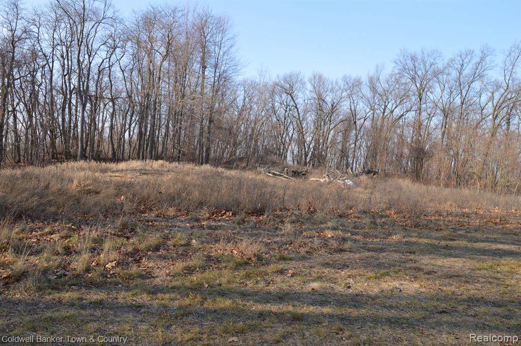 16240 Catalpa Ridge - Photo 1