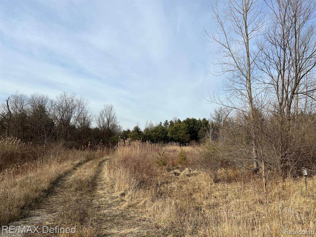 B Peters Path - Photo 1