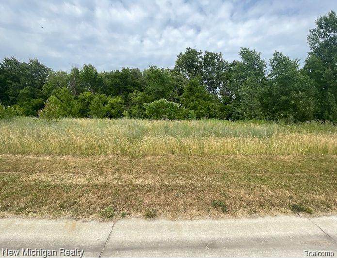 14329 Wright - Photo 1