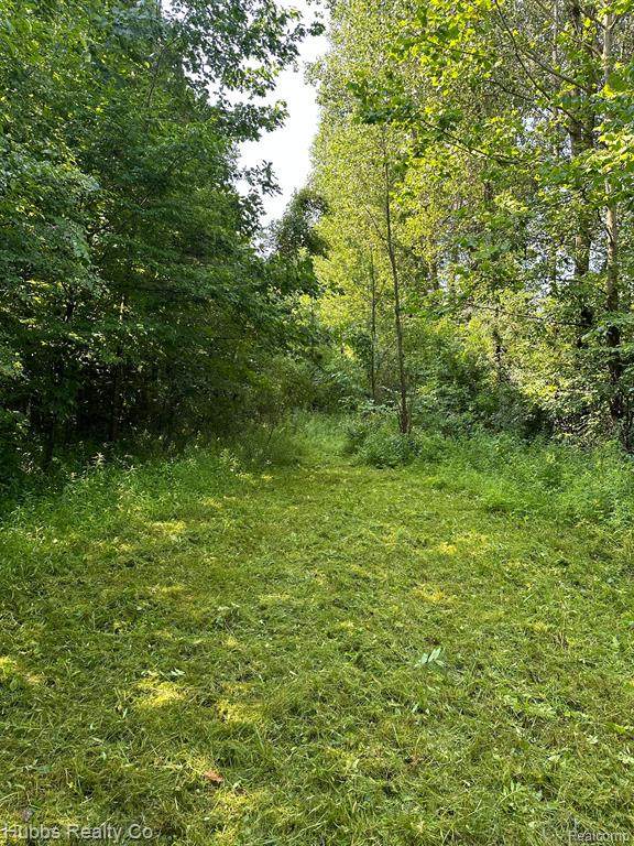 0000 Birch Run Rd. - Photo 1