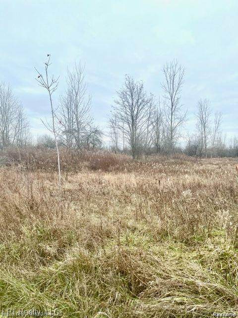 7152 5 Mile Rd - Photo 1