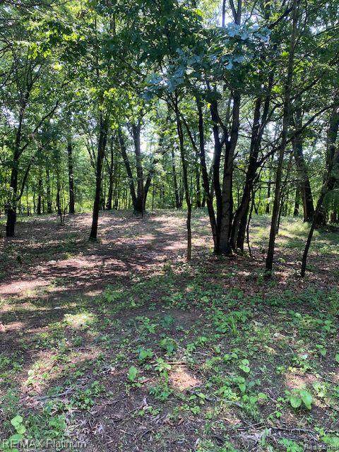 4 Sleaford-Parcel 4 - 32.92 Acres - Photo 1