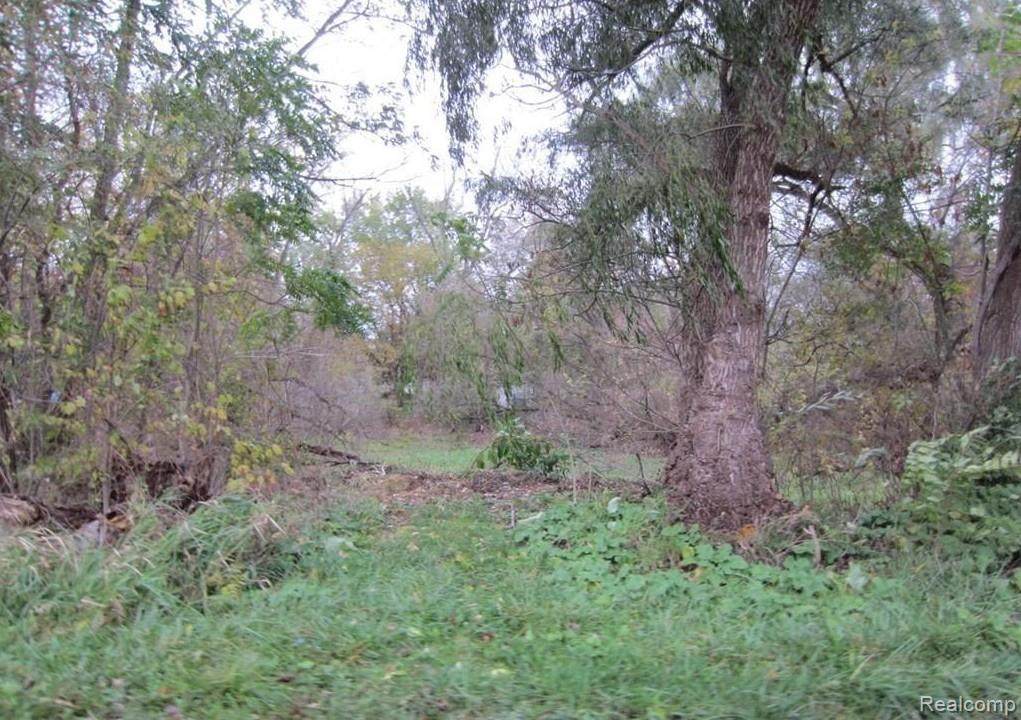 VACANT LAND Tackels - Photo 1