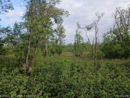 0000 Finnegan Rd, - Photo 1
