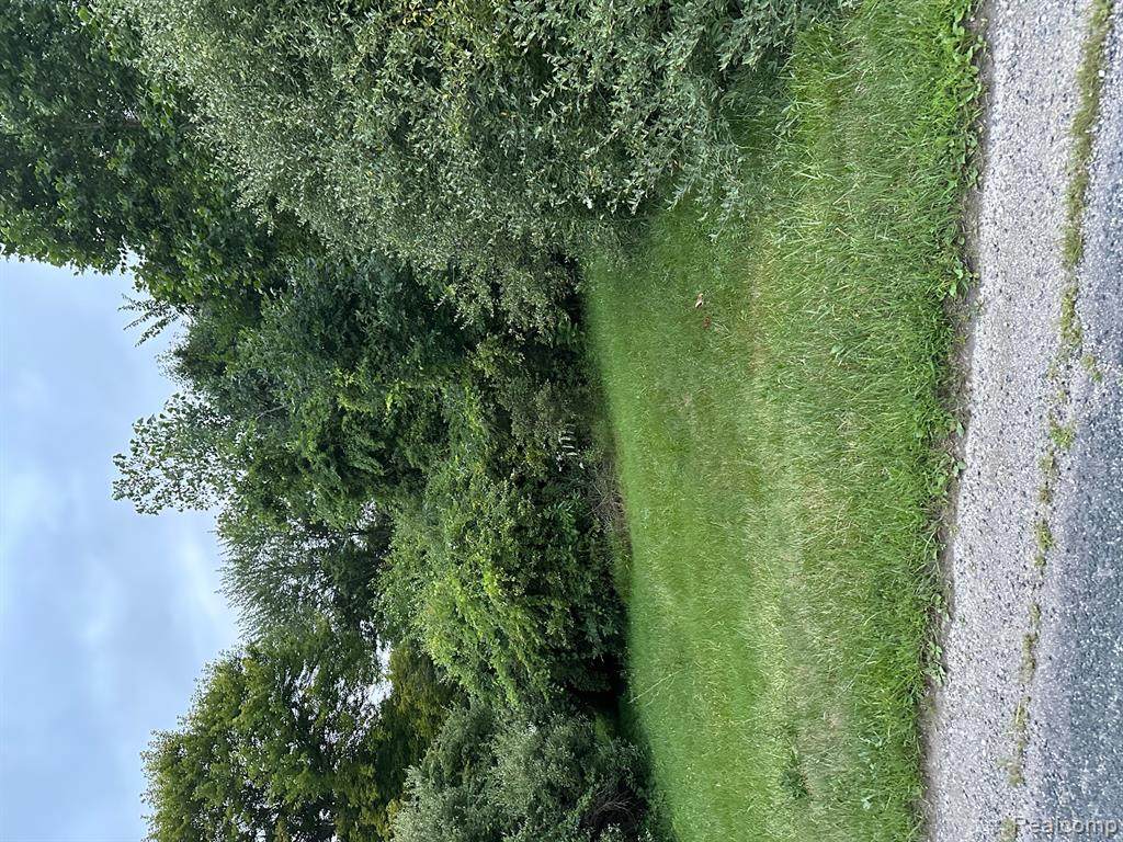 13380 Rawsonville - Photo 1