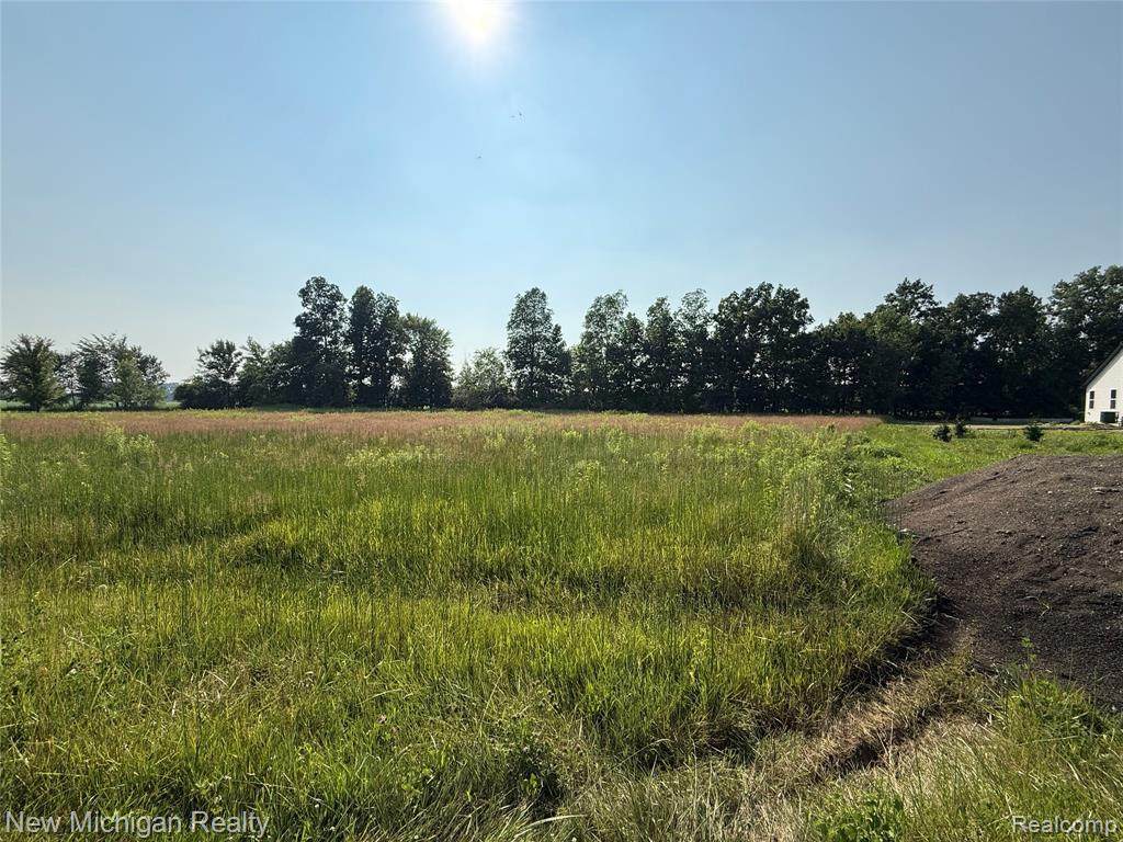 9807 Oak Ridge - Photo 1