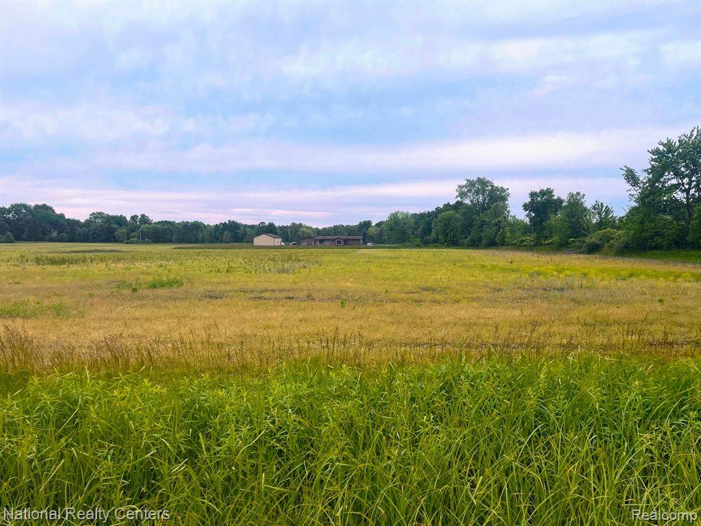 PARCEL C Burt - Photo 1