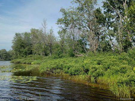 0000 Tahquamenon River (Shore) - Photo 1