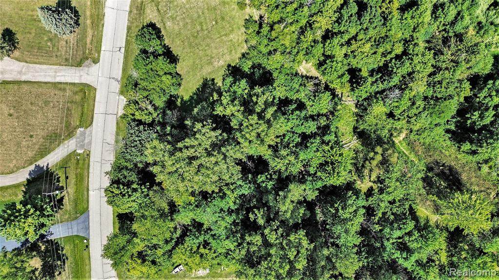 0 Shinanguag - Photo 1