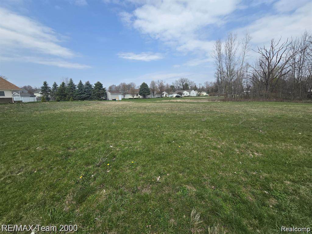 0000 Goldfinch - Photo 1