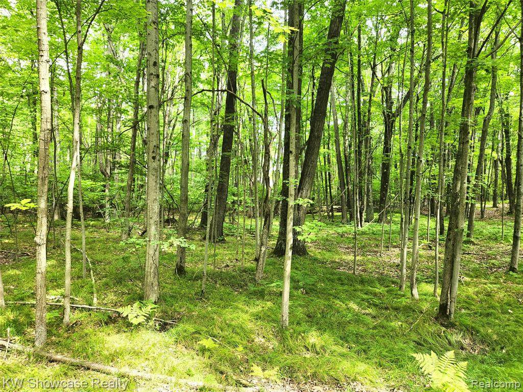 000 Red Fox Run - Photo 1