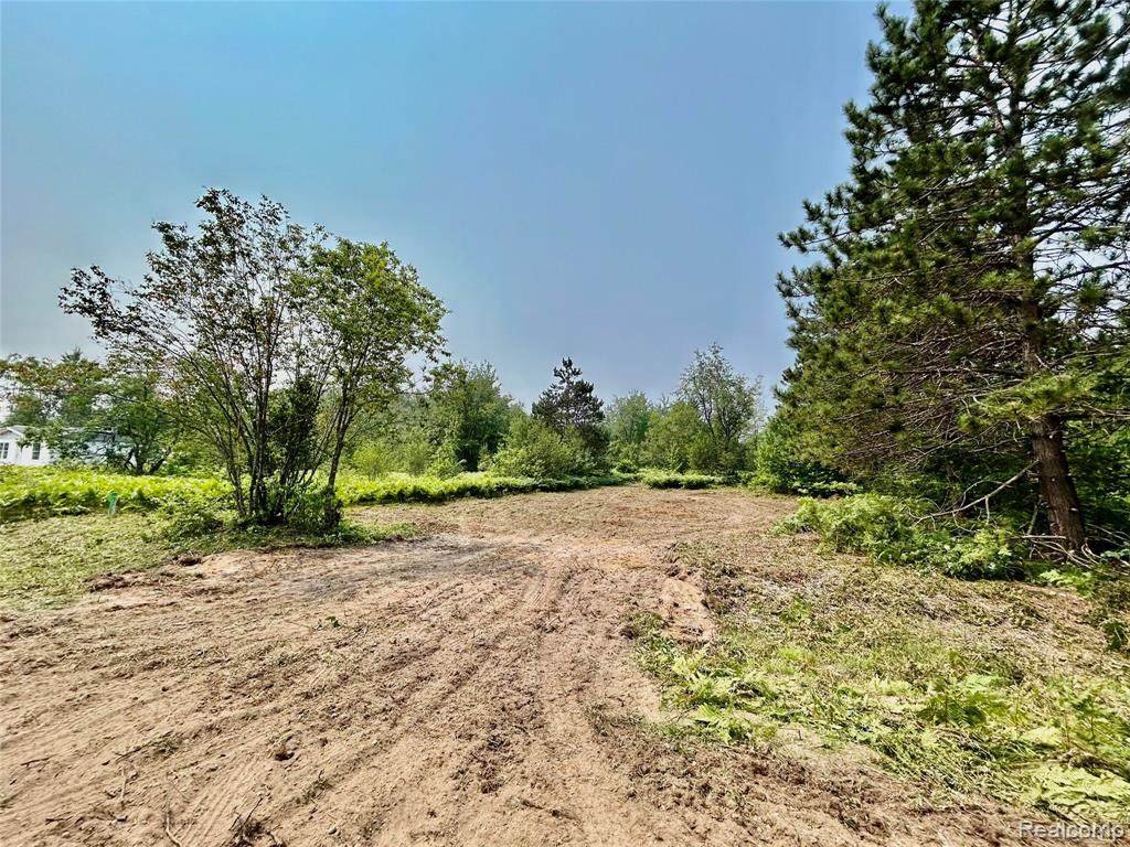 6658 Brookfield - Photo 1