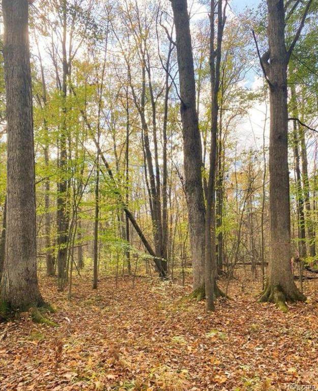 9473 Broomfield - Photo 1