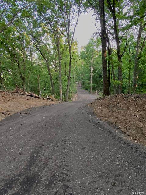 0000 Silverbell - Photo 1