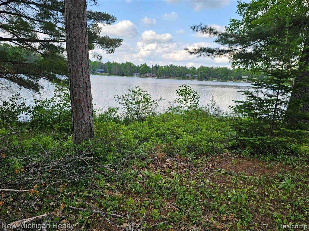 Lot 12 Paradise - Photo 1