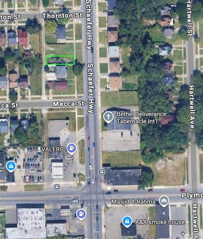 11723 Schaefer - Photo 1