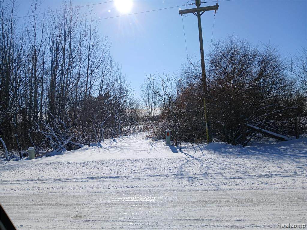 3838 Mayville - Photo 1