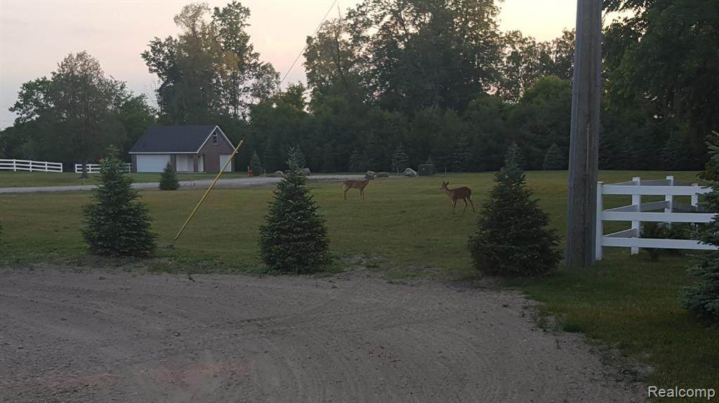 7696 Varty - Photo 1