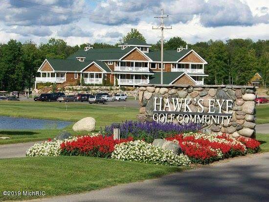 TBD Hawk's Eye Drive - Photo 1