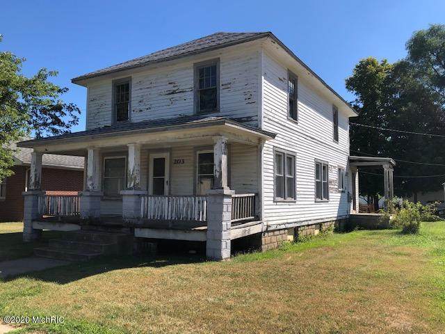 203 Kalamazoo Street - Photo 1