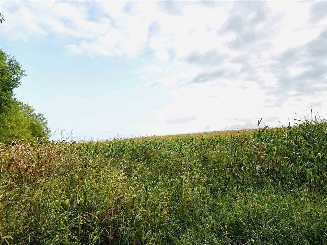 VL Y Whipple Road - Photo 1